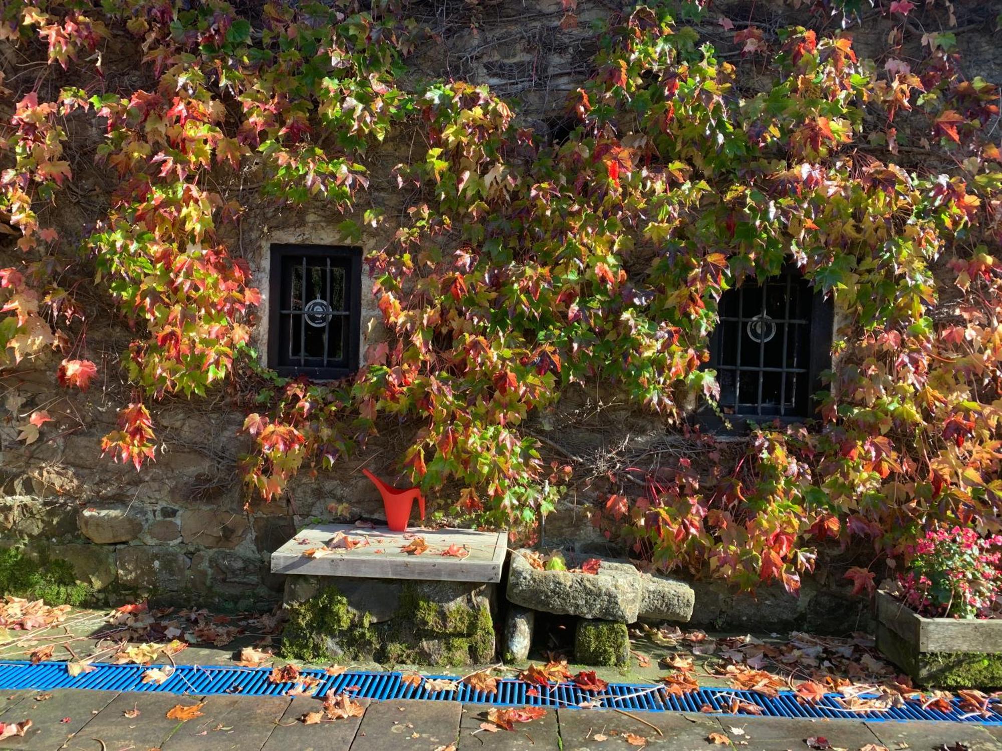 Villa Remanso Del Rio Saja à Renedo De Cabuerniga Extérieur photo